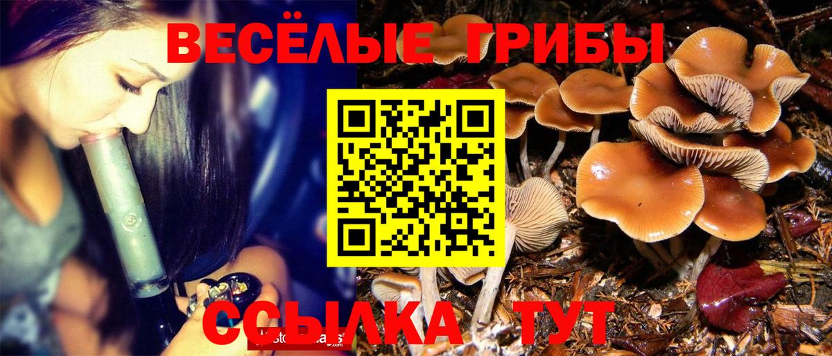 Галлюциногенные грибы ЛСД Тула